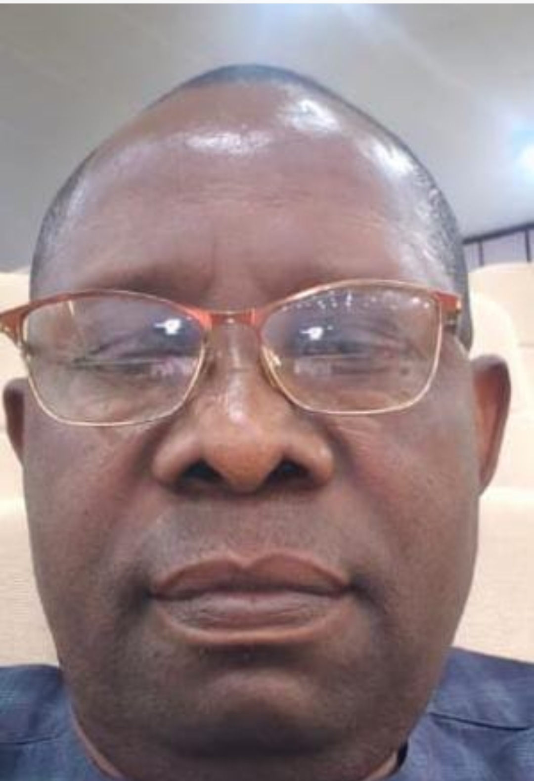 Portrait of Prof. Chubah Ezeh