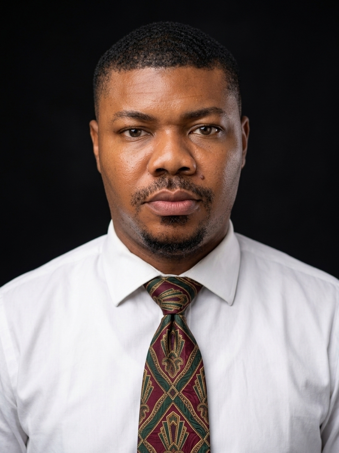 Portrait of Mr. Nnamdi Atupulazi, arpa, anipr
