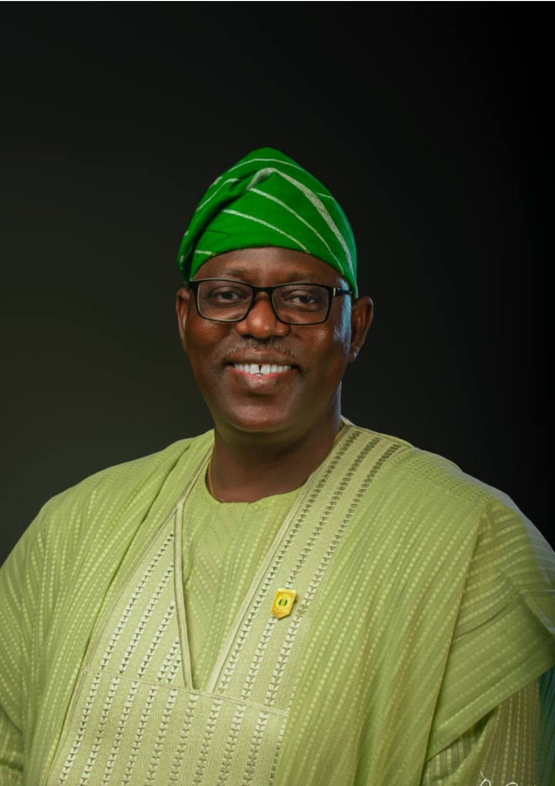 Portrait of Prof. Sola Adeyanju, mni